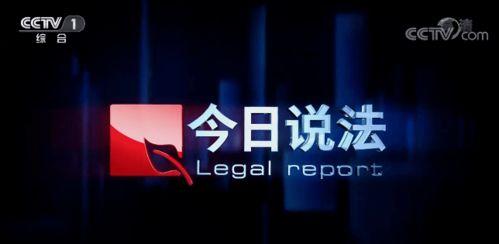 今日说法今天视频,揭秘视频背后的真相与启示